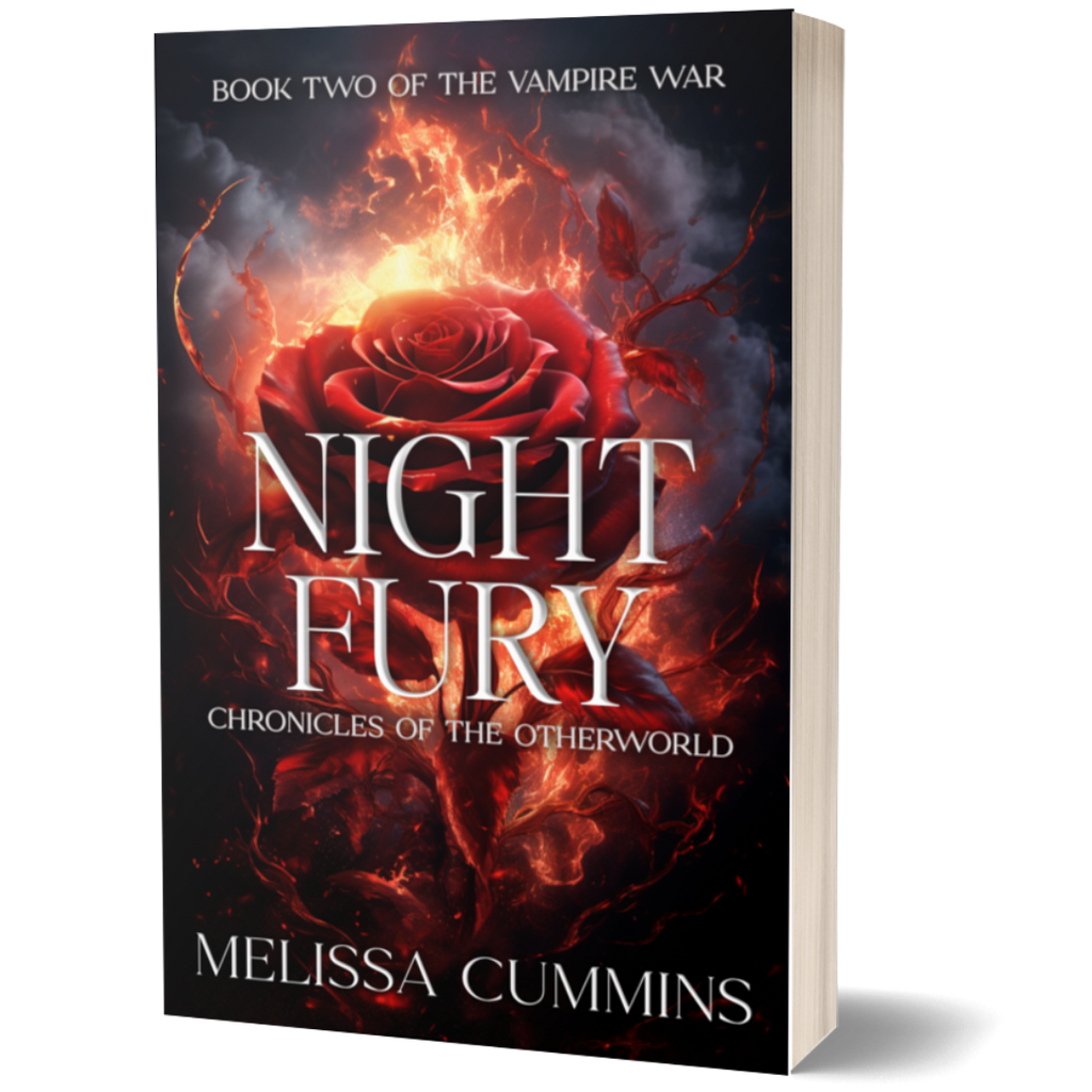 Night Fury Paperback - Dark Vampire Romance