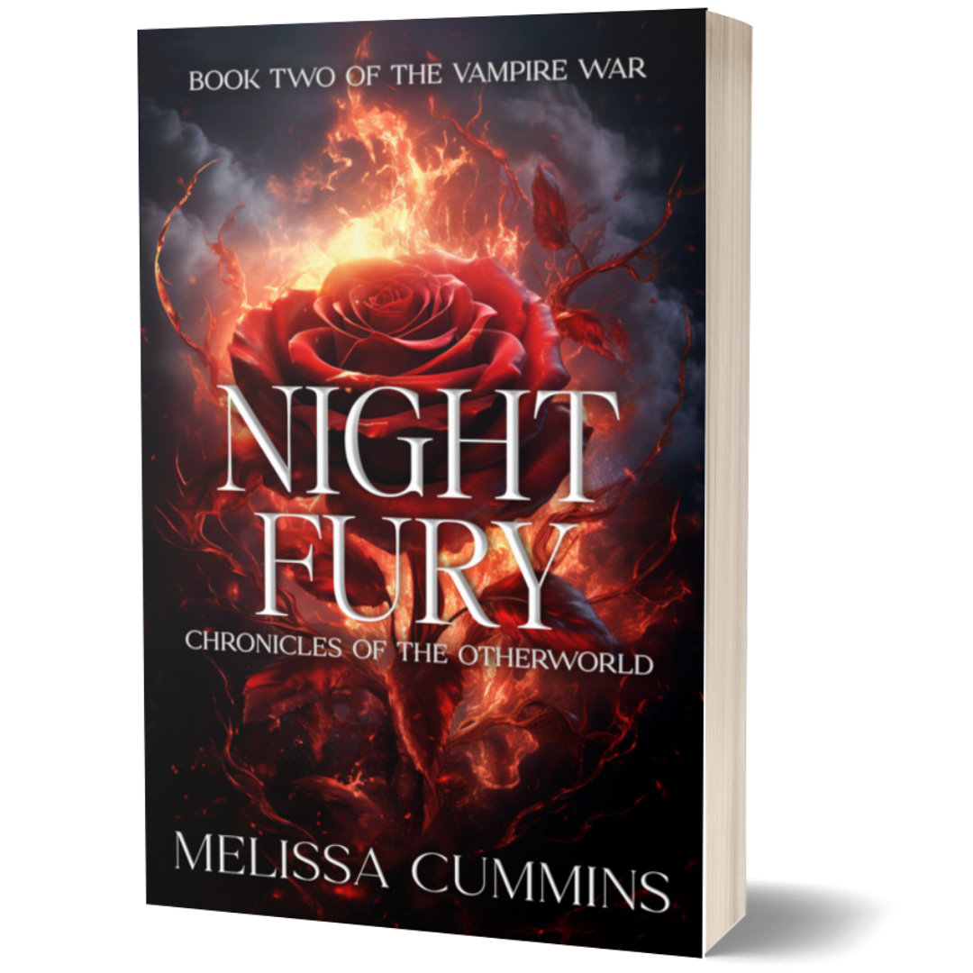 Night Fury Paperback - Dark Vampire Romance