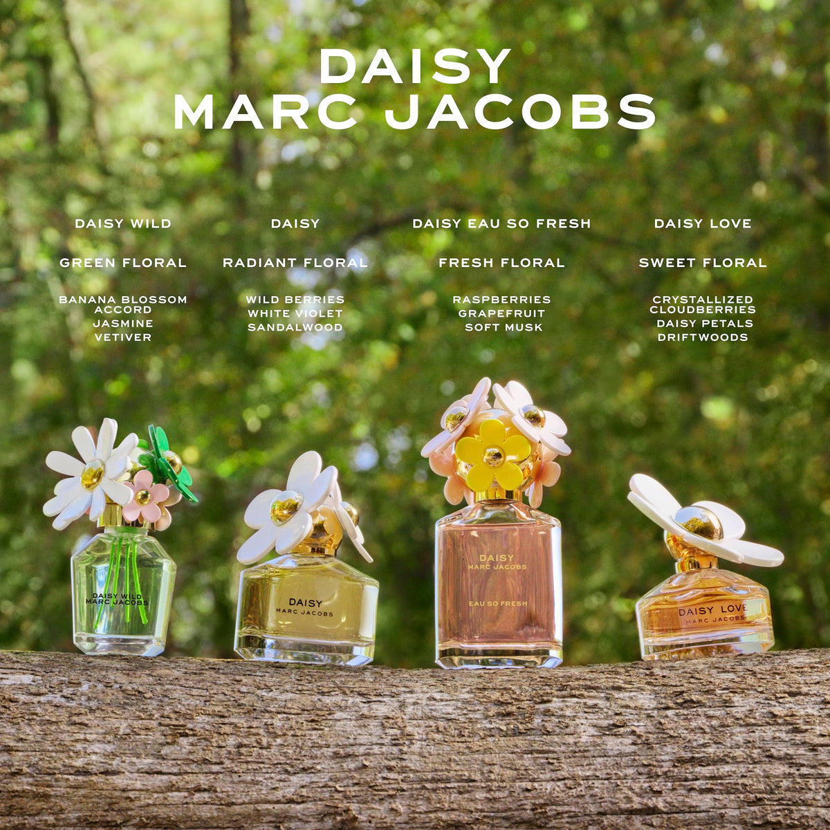 Marc Jacobs Daisy Eau de Toilette – Radiant Floral Women's Perfume – With Notes of Wild Berries
