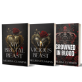 Spicy Standalone Paperback Bundle - Dark Romance