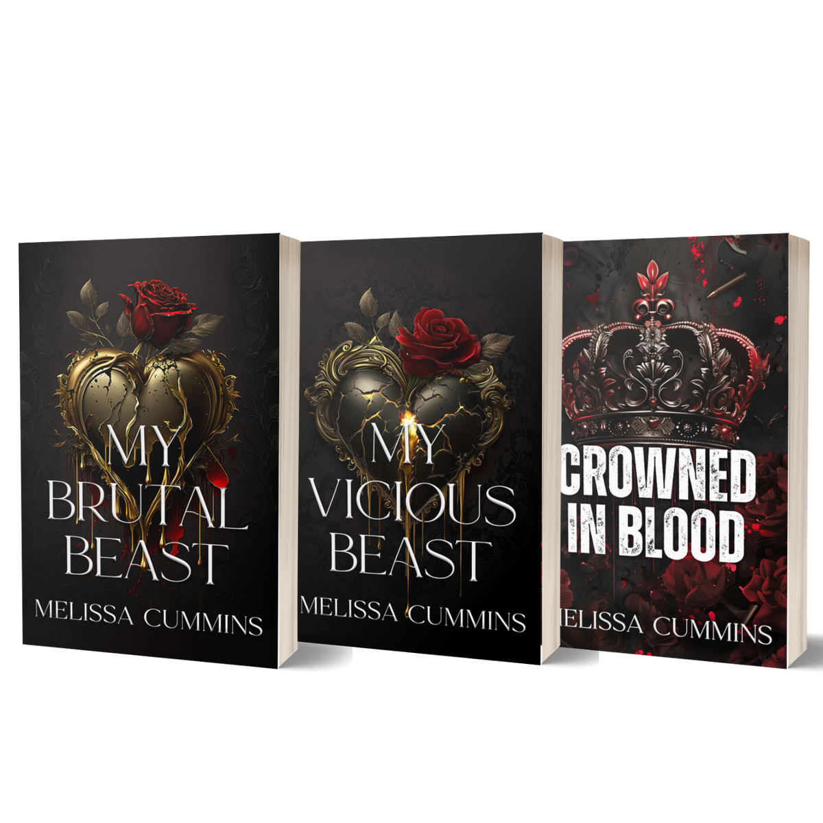 Spicy Standalone Paperback Bundle - Dark Romance